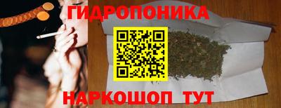 шишки Тара